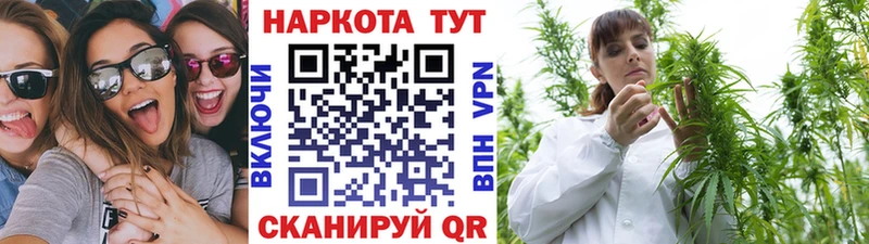 Где можно купить наркотики Гатчина КОКАИН А ПВП Псилоцибиновые грибы Меф мяу мяу ГАШИШ