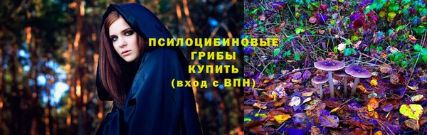 стаф Богородицк