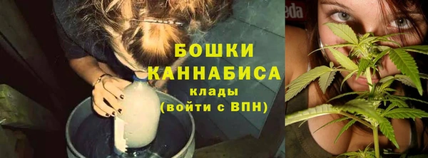 каннабис Богданович