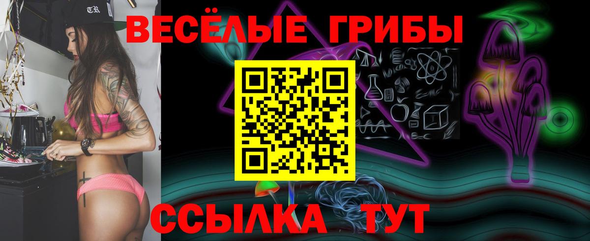 Гатчина  купить наркотик  Вход с VPN  Галлюциногенные грибы ЛСД 